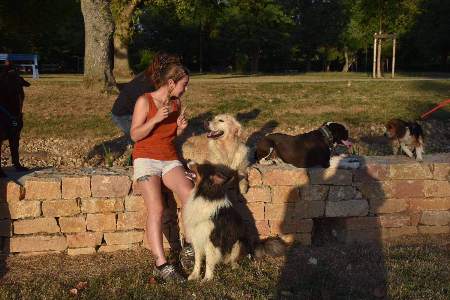 éducation et dressage de chiens Savoie